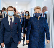 Dalia Grybauskaitė, Arūnas Dulkys