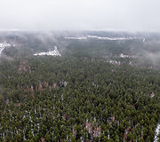 Mi&scaron;kas Panerių seniūnijoje, kurį norima paversti žvyro ir smėlio karjeru