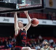 Martynas Echodas