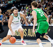 Arvydas Macijauskas