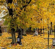 Rytų kapinės