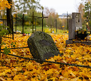 Rytų kapinės
