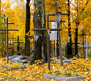 Rytų kapinės