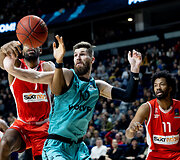 &bdquo;Wolves&ldquo; &ndash; Tel Avivo &bdquo;Hapoel&ldquo;