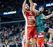 &bdquo;Wolves&ldquo; &ndash; Tel Avivo &bdquo;Hapoel&ldquo;