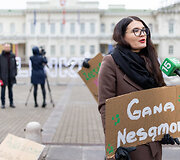Prie prezidentūros vyko žaliųjų partijos demonstracija dėl naktinių taikiklių