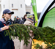 Valstybinių mi&scaron;kų urėdijos mi&scaron;kininkų organizuojama nemokamų eglės &scaron;akų dalijimo akcija