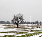 Raitininkų kaimas