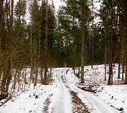 Raitininkų kaimas