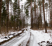 Raitininkų kaimas