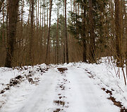 Raitininkų kaimas