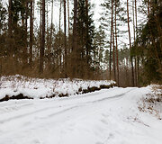 Raitininkų kaimas