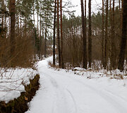 Raitininkų kaimas