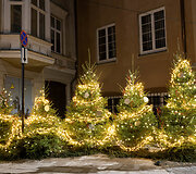 Kalėdi&scaron;kai pasipuo&scaron;ęs Vilnius