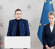 Dovilė &Scaron;akalienė, Nida Grunskienė