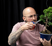 NTC Bonsai jaunųjų talentų konkursas