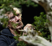 Europos ir pasaulio bonsai &ndash; meistrų parodomoji demonstracija