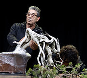Europos ir pasaulio bonsai &ndash; meistrų parodomoji demonstracija