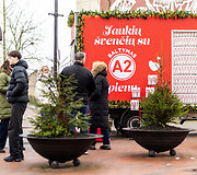 Įžiebkime Kalėdas kartu: Tel&scaron;iai