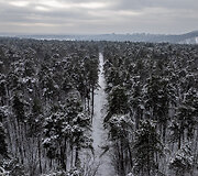 &Scaron;alčio sukaustytas Vilnius