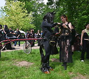 Wave-Gotik-Treffen muzikos festivalis