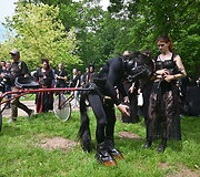 Wave-Gotik-Treffen muzikos festivalis