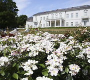 Palanga