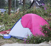 Reidas čigonų tabore