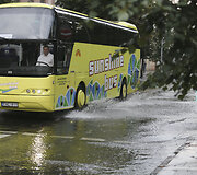Liūtis Vilniuje