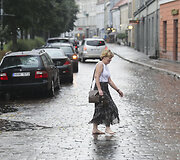 Liūtis Vilniuje