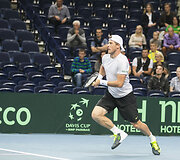 Daviso taurė
