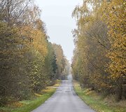 Auksinis ruduo Vilniuje