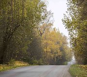 Auksinis ruduo Vilniuje
