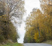 Auksinis ruduo Vilniuje