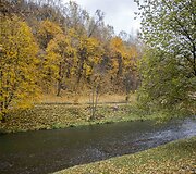 Auksinis ruduo Vilniuje