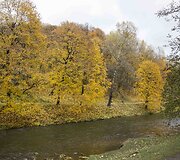 Auksinis ruduo Vilniuje