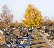 Liepynės kapinės
