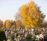 Liepynės kapinės