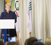 Olimpiečių palydėtuvės