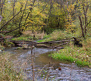 Dūk&scaron;tos pažintinis takas