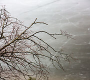 Dovainonių atodanga