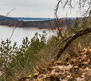 Dovainonių atodanga