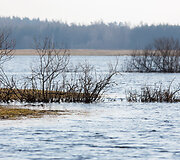 Potvynis &Scaron;ilutės rajone