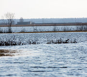 Potvynis &Scaron;ilutės rajone