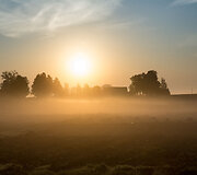 Ankstyvas rytas Žuvinto biosferos rezervate