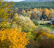 Auksinis ruduo Vilniuje