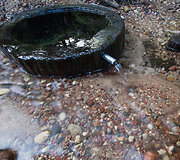 Pilelio &scaron;altinis