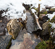 &Scaron;ilėnų mitologinis &scaron;altinis