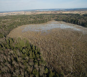 Dubravos rezervatinė apyrubė - apžvalgos takas