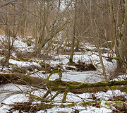 Kalvarijų Kryžiaus kelias